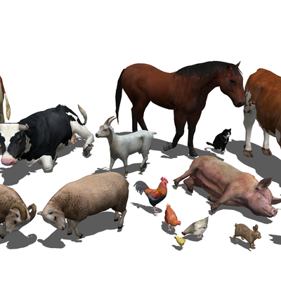 Cattle, sheep, pig, dog, chicken