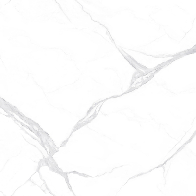 Victoria White Rock Slab Marble