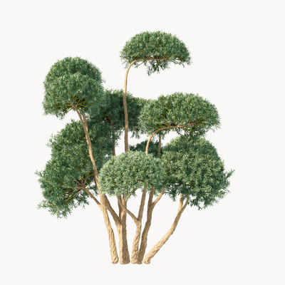 modern arbor tree modeling tree