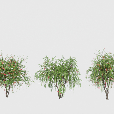 Hanging silk red lasagna string money landscape arbor flowers shrub