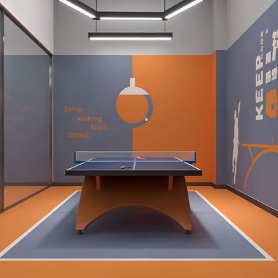 Modern table tennis room