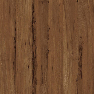 Log color elm wood grain wood veneer