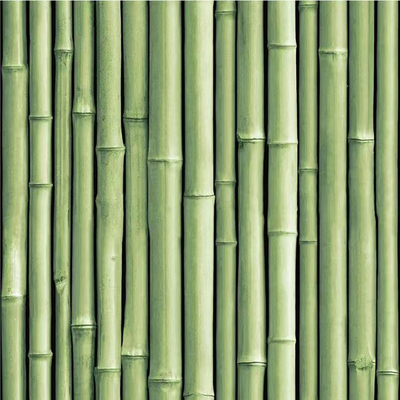 Green bamboo fence