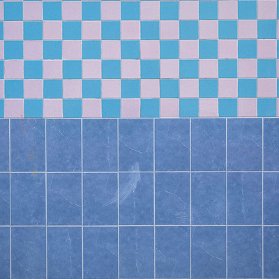 Swimming Pool Toilet Tile Wall