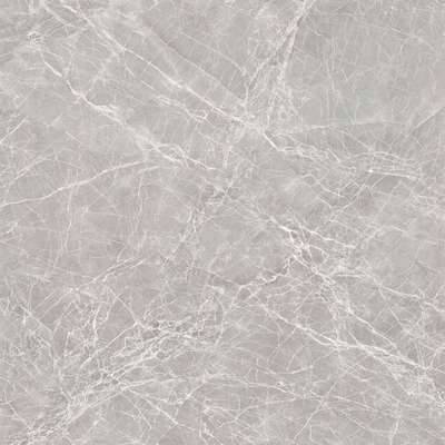 Apollo Silver Rock Slab Marble