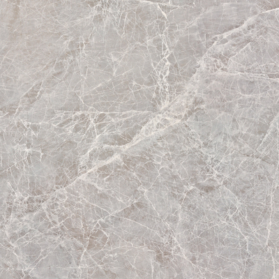 Apollo Silver Rock Slab Marble