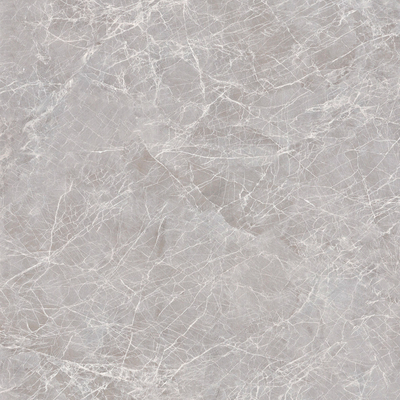 Apollo Silver Rock Slab Marble