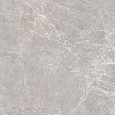 Apollo Silver Rock Slab Marble