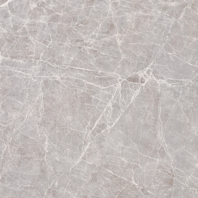 Apollo Silver Rock Slab Marble