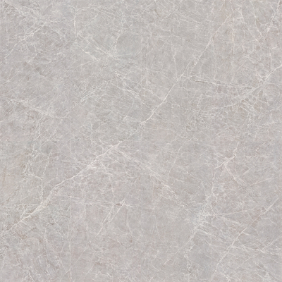 Apollo Silver Rock Slab Marble