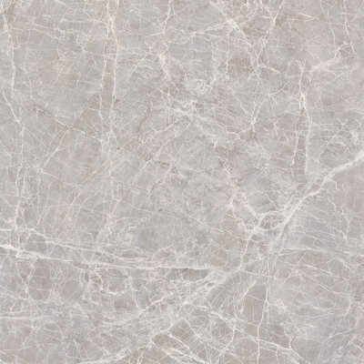 Apollo Silver Rock Slab Marble Marble