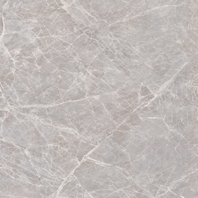 Apollo Silver Rock Slab Marble