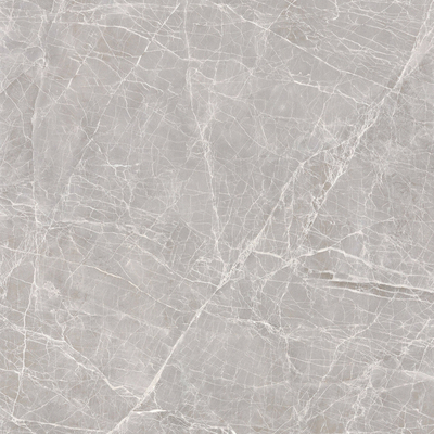 Apollo Silver Rock Slab Marble