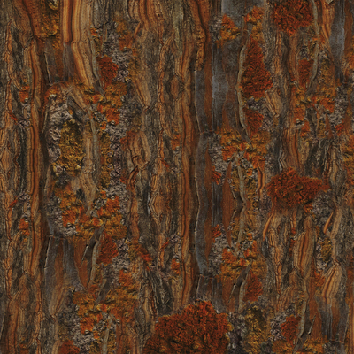 wood grain wallpaper wall covering