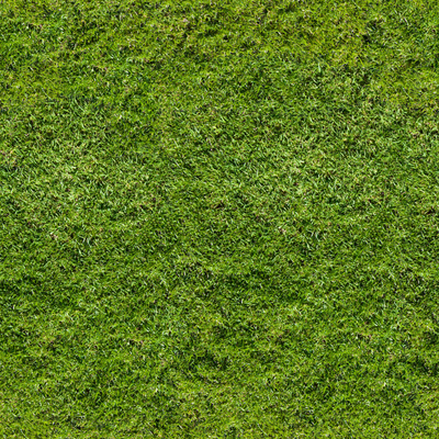 green lawn turf