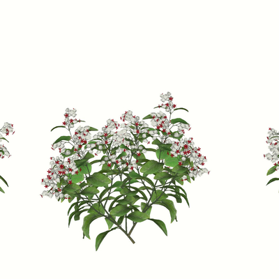 LongTuzhu shrub cover with flowers and plants