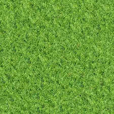 Lawn Grass Greening Turf