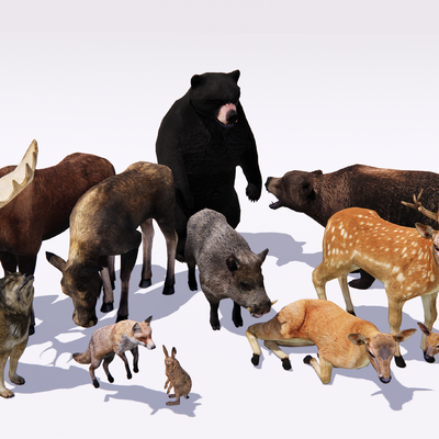 forest animals reptile deer wolf bear fox