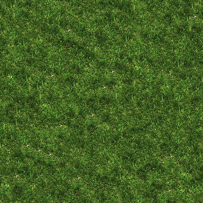 lawn turf