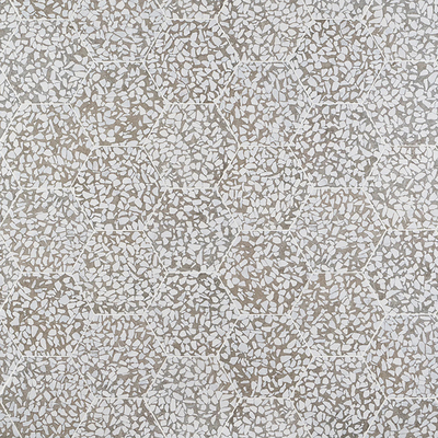 Grey terrazzo hexagonal brick