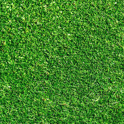 Lawn Grass Greening Turf