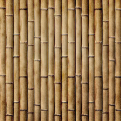 Bamboo Bamboo Fence