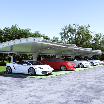 Modern Parking Shed Canopy Motor Vehicle Shed