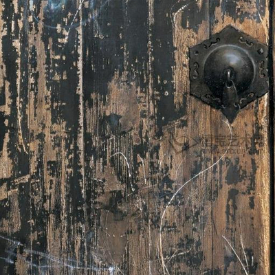 Anti-corrosion wood wood board wooden door