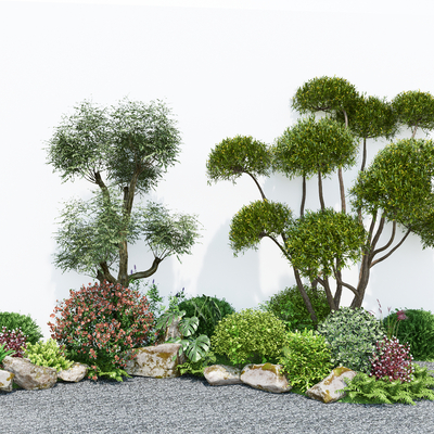 Trees and shrubs