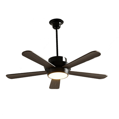 Modern fan light