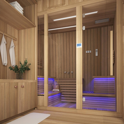 Modern steam room