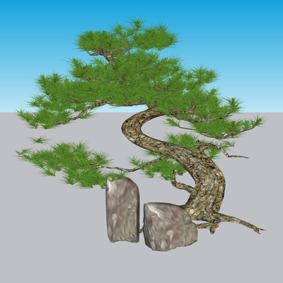 New Chinese-style Tree Model Tree Welcome Pine