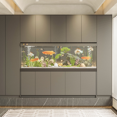 Modern fish tank aquarium