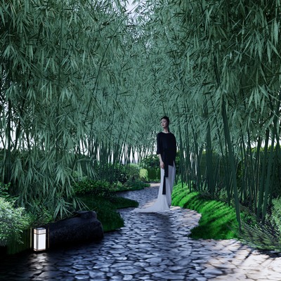 Chinese Bamboo Forest Landscape Trail