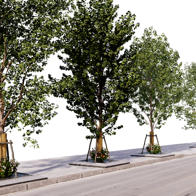 Green plants, trees, street trees