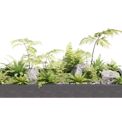 Flower trough flower pond fern green plant pile