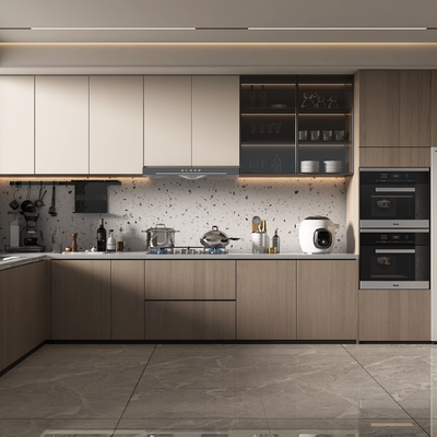 Modern Kitchen Cabinets