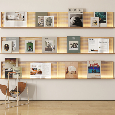 Modern Bookshelf Books and Magazines