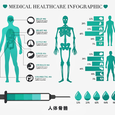 Medical Human Organs Bone Blood Vessels Medical Structure Drawing