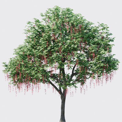 Safflower Jade Ruishu Landscape Tree