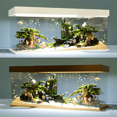 Fish tank aquarium