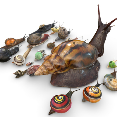 Herds of reptiles snail shell mollusks