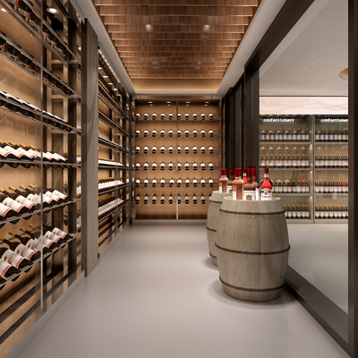 Modern Wine Cellar Tasting Room