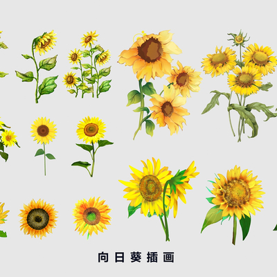 Sunflower sunflower cartoon hand-drawn illustration