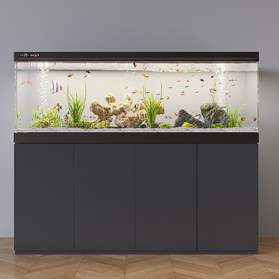 Ornamental fish tank aquarium