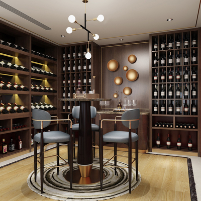 Modern Wine Cellar Tasting Room