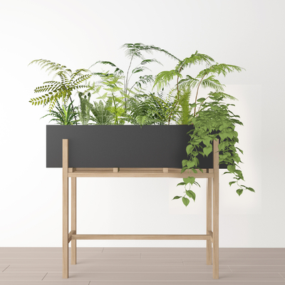 green plant flower box potted plant