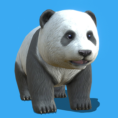 National treasure panda panda cub cute panda