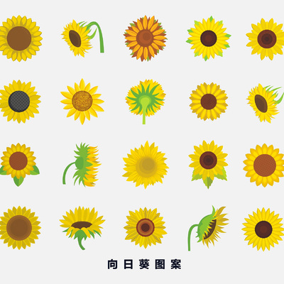 Sunflower sunflower cartoon hand-drawn illustration