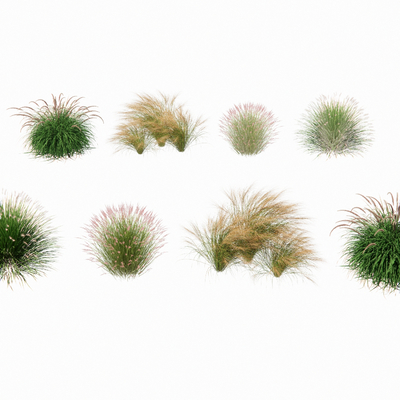 Landscape grass flowers